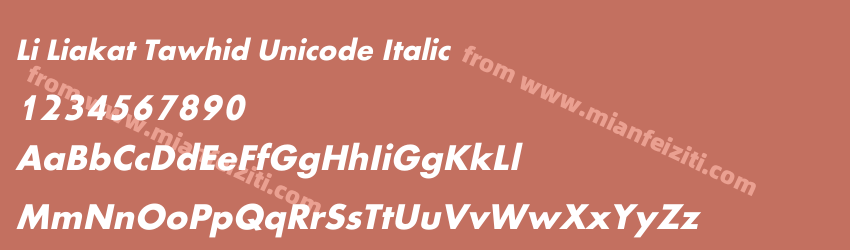 Li Liakat Tawhid Unicode Italic预览图1