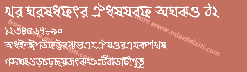 Li Niladri Halhed ANSI V2预览图1