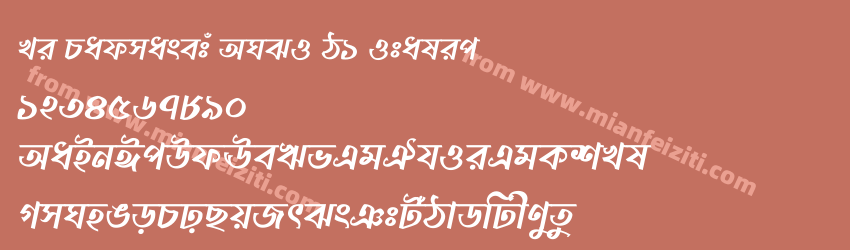 Li Padmasetu ANSI V1 Italic预览图1
