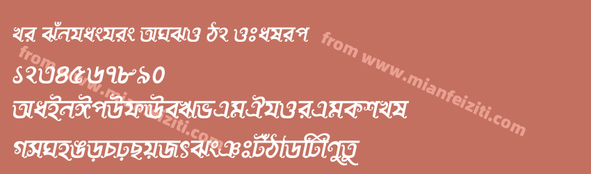 Li Subhashis ANSI V2 Italic预览图1