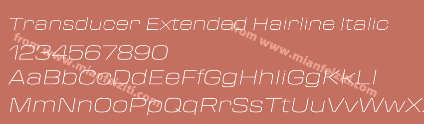 Transducer Extended Hairline Italic预览图1