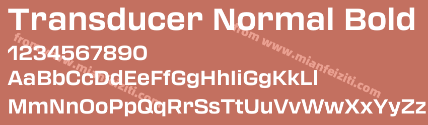Transducer Normal Bold预览图1