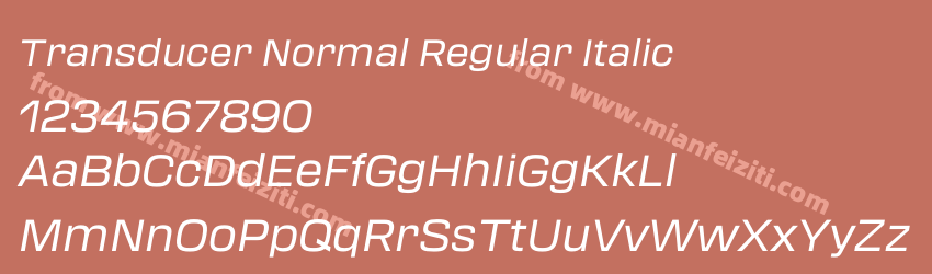 Transducer Normal Regular Italic预览图1