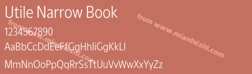 Utile Narrow Book预览图1
