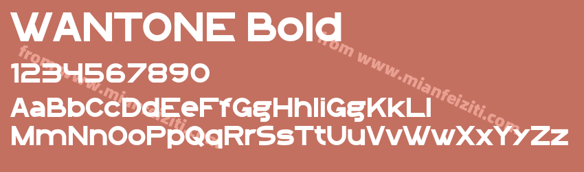 WANTONE Bold预览图1