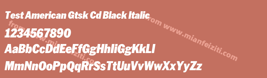Test American Gtsk Cd Black Italic预览图1