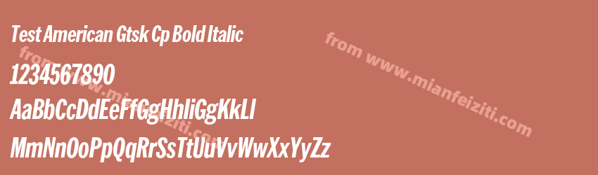 Test American Gtsk Cp Bold Italic预览图1