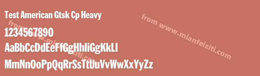 Test American Gtsk Cp Heavy预览图1