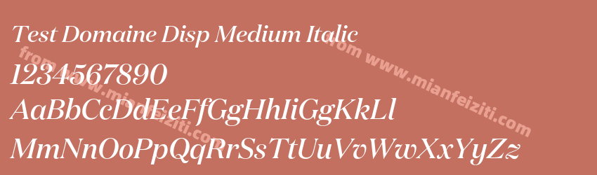 Test Domaine Disp Medium Italic预览图1