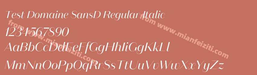 Test Domaine SansD Regular Italic预览图1 Test Domaine SansD Regular Italic预览图1