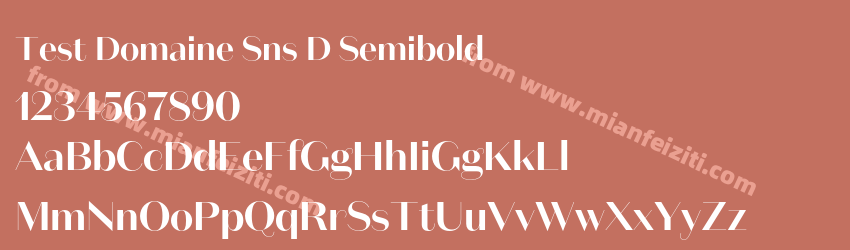 Test Domaine Sns D Semibold预览图1