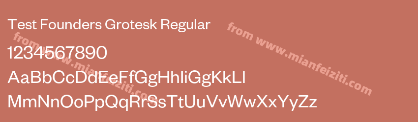 Test Founders Grotesk Regular预览图1