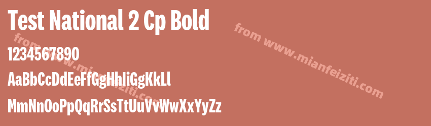 Test National 2 Cp Bold预览图1