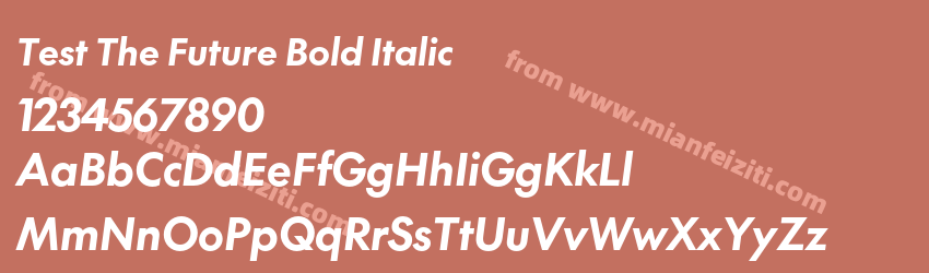 Test The Future Bold Italic预览图1