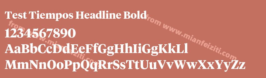Test Tiempos Headline Bold预览图1