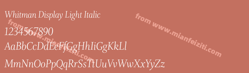 Whitman Display Light Italic预览图1