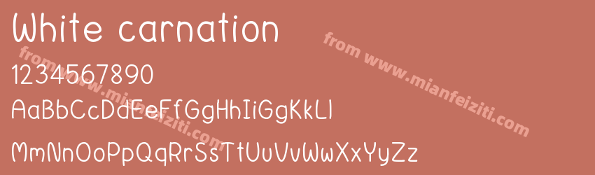 White carnation预览图1