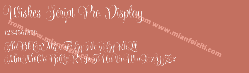 Wishes Script Pro Display预览图1