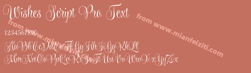 Wishes Script Pro Text预览图1