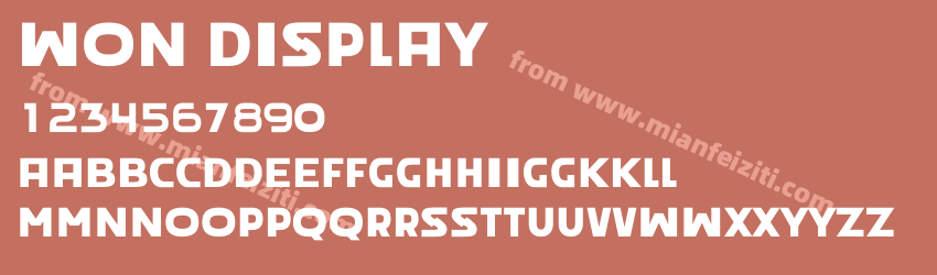 Won Display预览图1