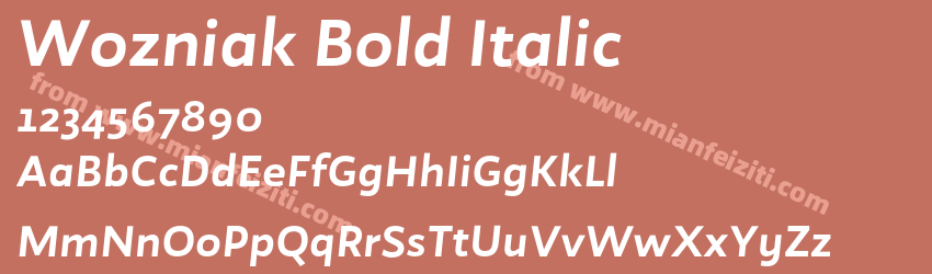 Wozniak Bold Italic预览图1
