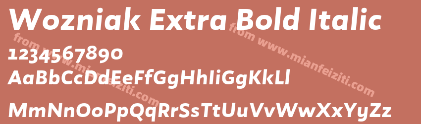 Wozniak Extra Bold Italic预览图1