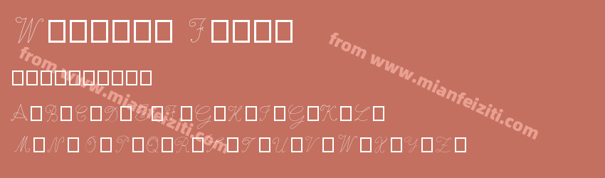 Writing Fonts预览图1