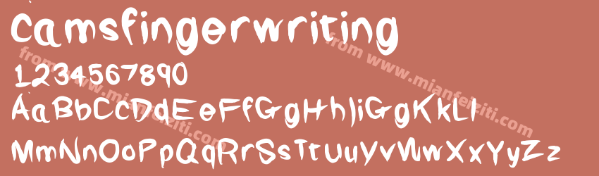 camsfingerwriting预览图1