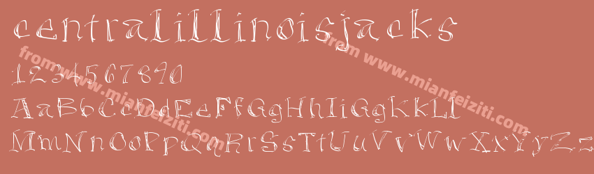 centralillinoisjacks预览图1