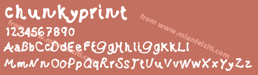chunkyprint预览图1