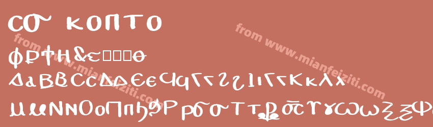 cs kopto预览图1