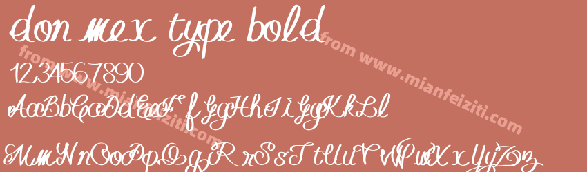don mex type bold预览图1