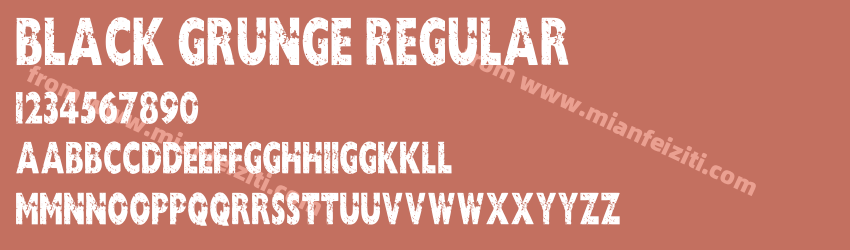 Black Grunge Regular预览图1