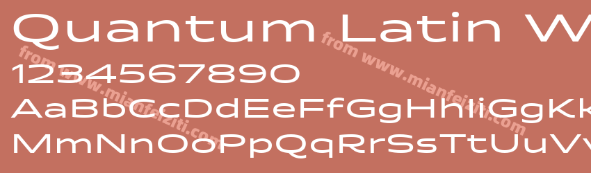Quantum Latin W03 Medium预览图1