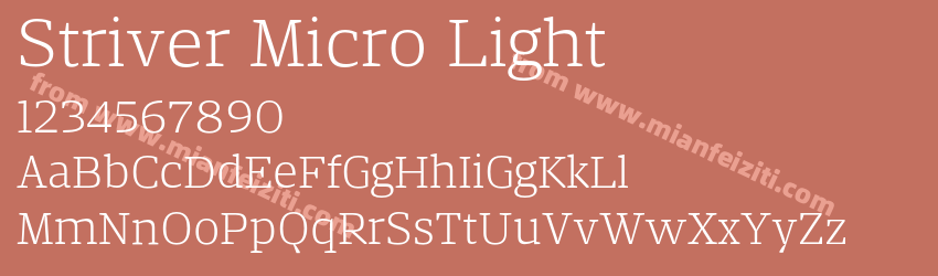 Striver Micro Light预览图1
