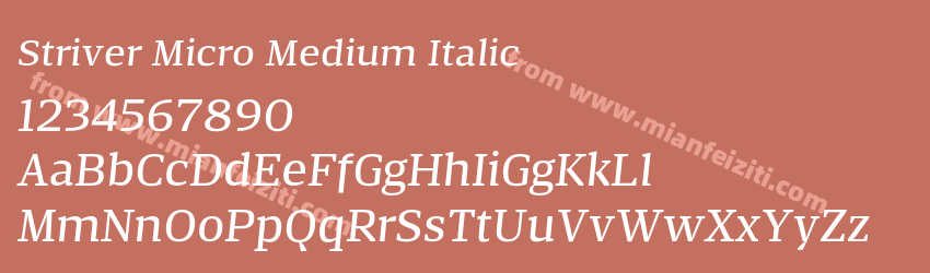 Striver Micro Medium Italic预览图1