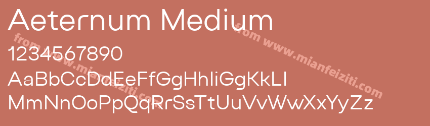 Aeternum Medium预览图1