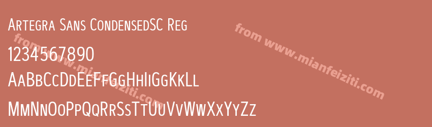Artegra Sans CondensedSC Reg预览图1
