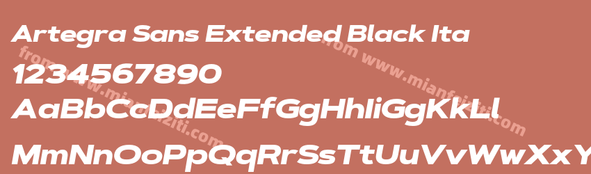 Artegra Sans Extended Black Ita预览图1