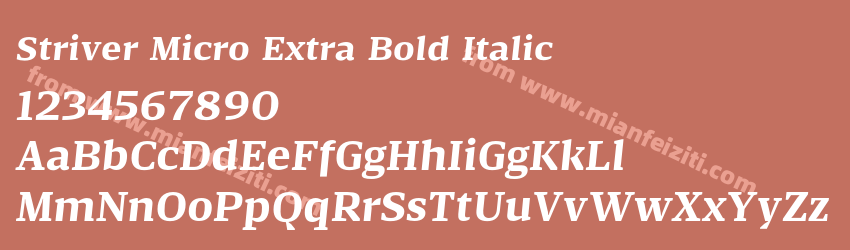 Striver Micro Extra Bold Italic预览图1