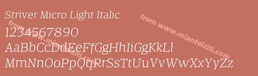 Striver Micro Light Italic预览图1