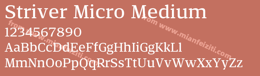 Striver Micro Medium预览图1