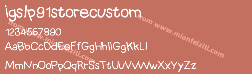 igslp91storecustom预览图1