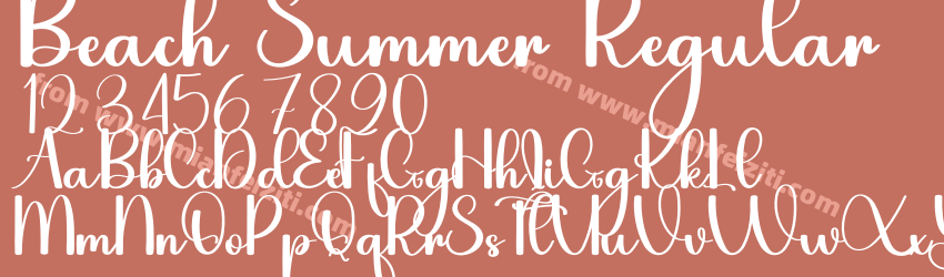 Beach Summer Regular预览图1