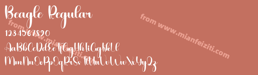Beagle Regular预览图1