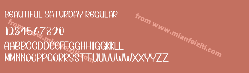 Beautiful Saturday Regular预览图1