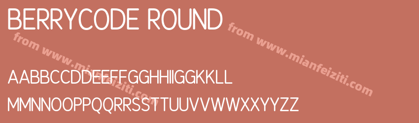 Berrycode Round预览图1