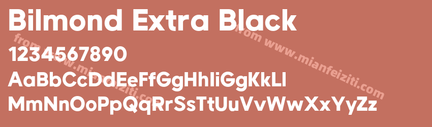 Bilmond Extra Black预览图1