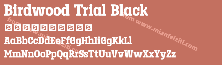 Birdwood Trial Black预览图1