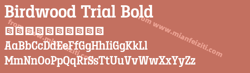 Birdwood Trial Bold预览图1